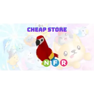 nfr parrot