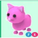 FR PINK CAT