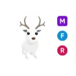 MFR ARCTIC REINDEER