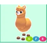 nfr alpaca / neon alpaca
