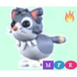 mfr alley cat/mega alley cat