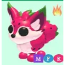 MFR DRAGON FRUIT FOX