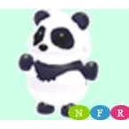 NFR GIANT PANDA / NEON GIANT PANDA