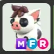 MFR MINI PIG