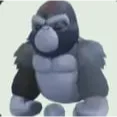 Silverback Gorilla