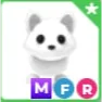 MFR Arctic fox
