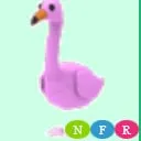 nfr flamingo
