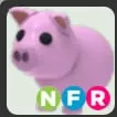 nfr pig