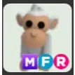 mfr albino monkey