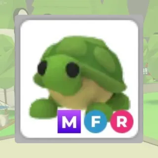 mfr turtle
