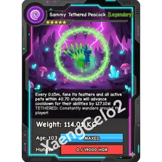 ⚖️114.01KG⚖️👑COLOSSAL👑🦚PEACOCK 🦚