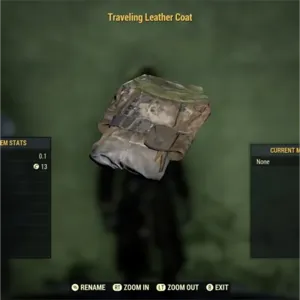 traveling leather coat