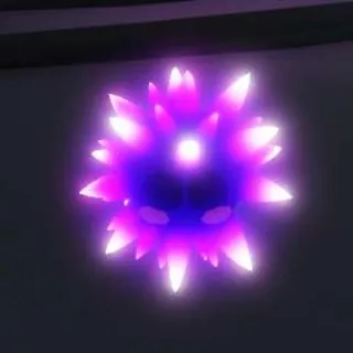 NEON URCHIN