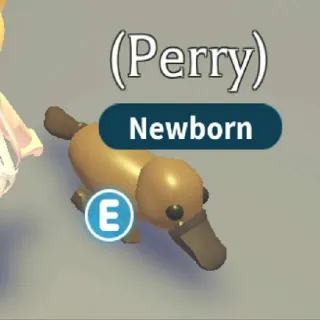 PLATYPUS