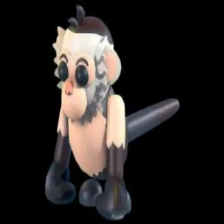 N/F/R CAPUCIN MONKEY