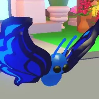 MEGA BLUE BUTTERFLY