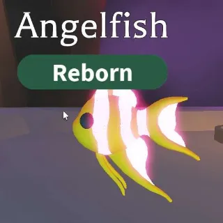 NEON ANGELFISH