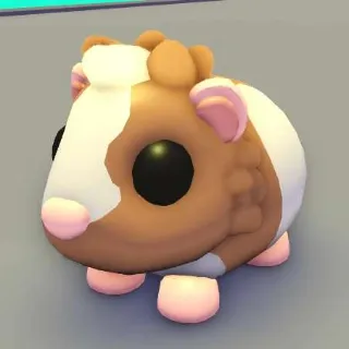CHOCOLATE DUTCH GUINEA PIG