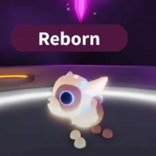 NEON KID GOAT