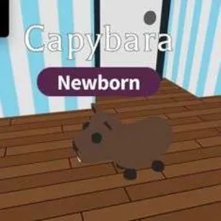 CAPYBARA