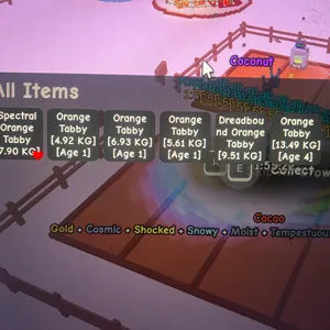 godly titanic huge tabby