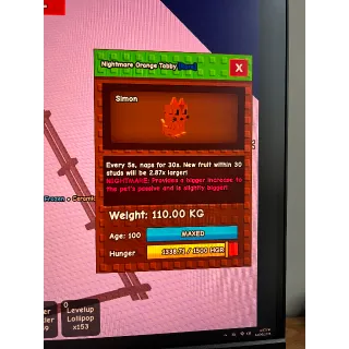 GROW A GARDEN HUGE 5S TABBY NO TOY