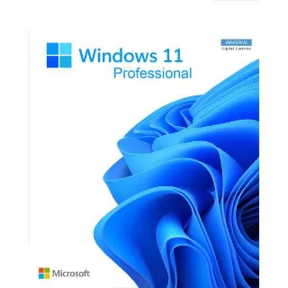 Windows 11 Professional