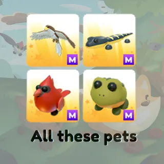 Adopt Me Bundle of pets Hawk, Salamander, Red Cardinal, Bullfrog