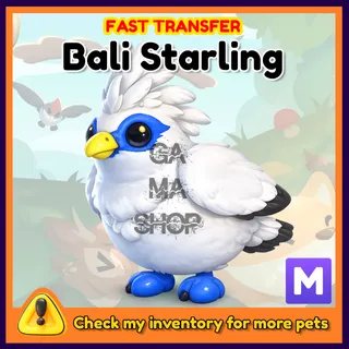 Dolphin Mega Adopt ME