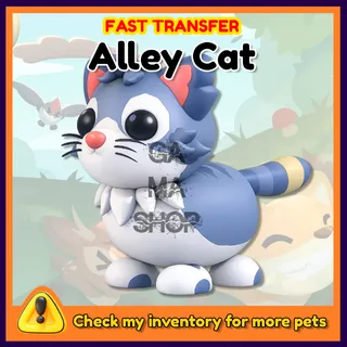 Alley Cat Adopt Me