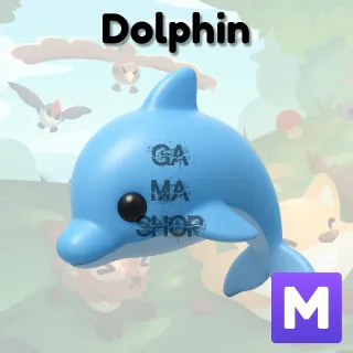 Dolphin Adopt ME