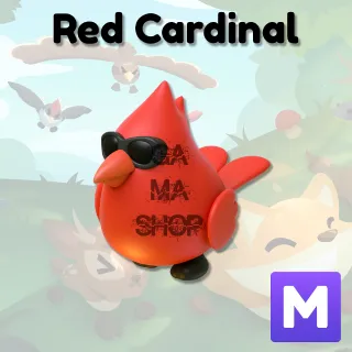 Red Cardinal Adopt ME