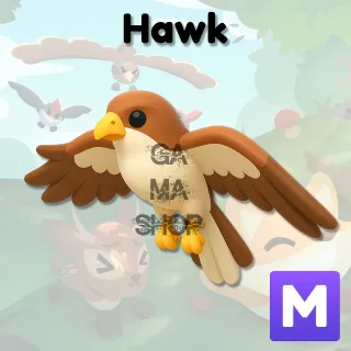 HAWK ADOPT ME