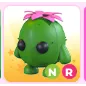 Nr Cactus Friend 