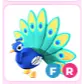 fr peacock