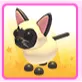 Siamese Cat