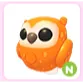 Neon Clementine Owl