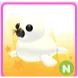 N Harp Seal
