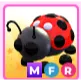 Mfr ladybug