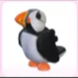 Puffin