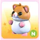 N Hamster