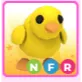 Nfr Chick