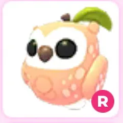 Peach Owl