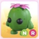 nr cactus friend
