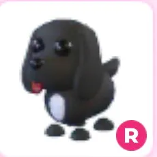 r Royal Palace Spaniel