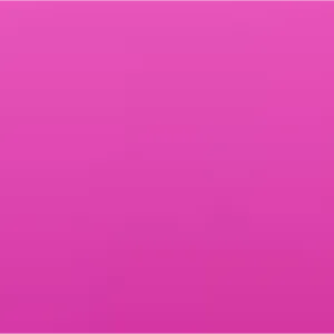 ash’s customs bundle