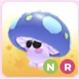 nr mushroom friend