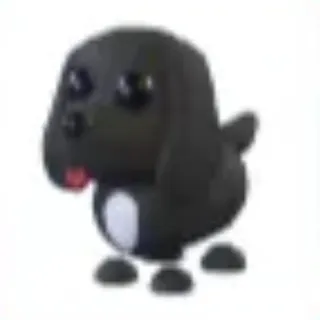 Royal Palace Spaniel