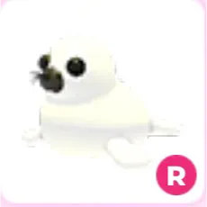 r harp seal