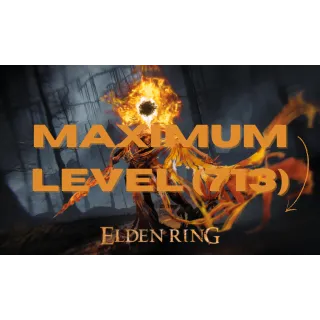 Maximum level (1-713) + All Weapons 